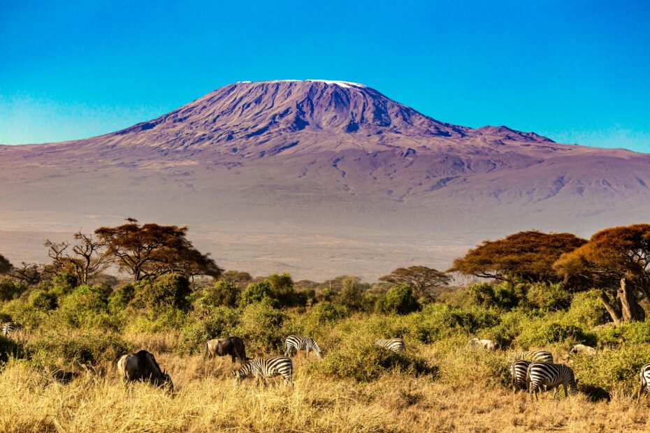 Kilimandžaro, Tanzānija